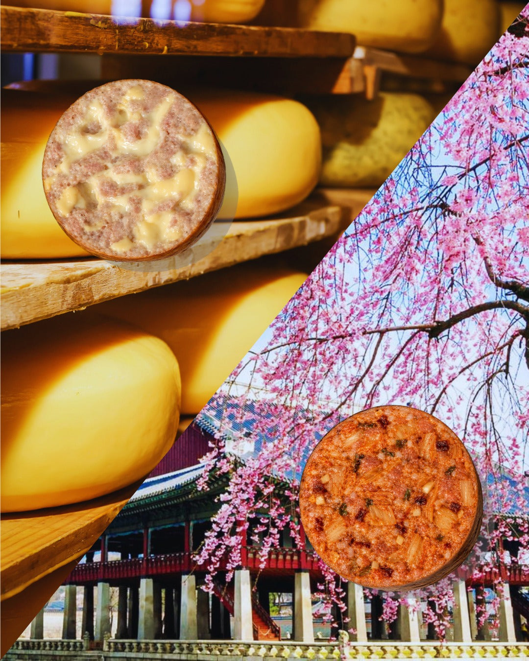Mix: The Cheesy Dutchman 🧀🧡 & Seoulmate 🇰🇷🌶️