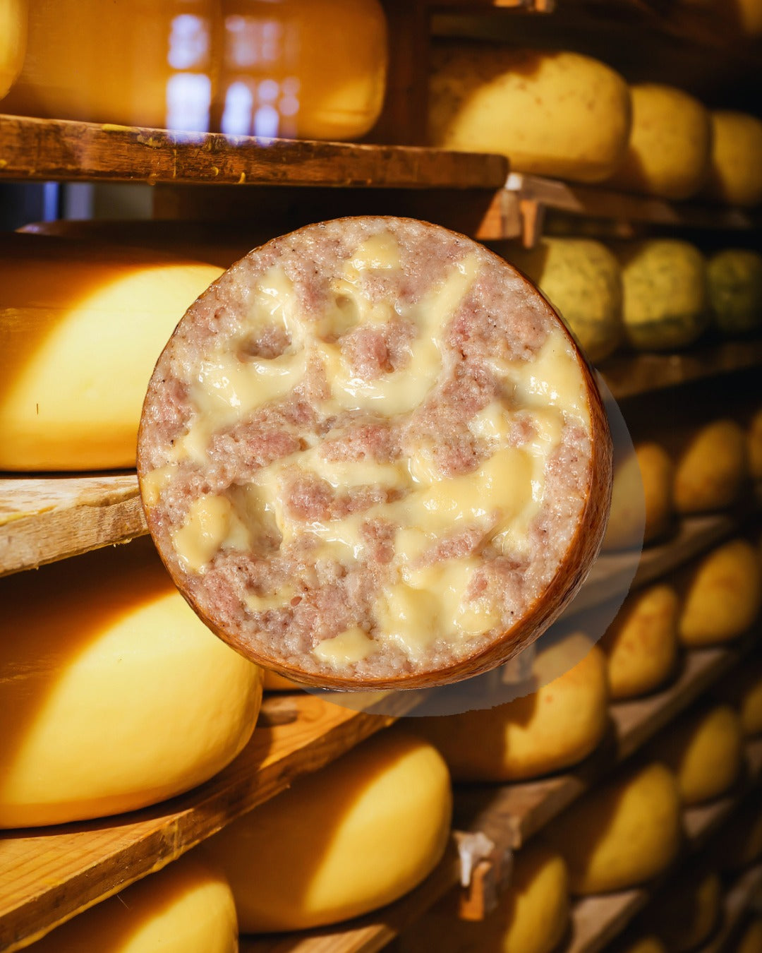The Cheesy Dutchman 🧀🧡